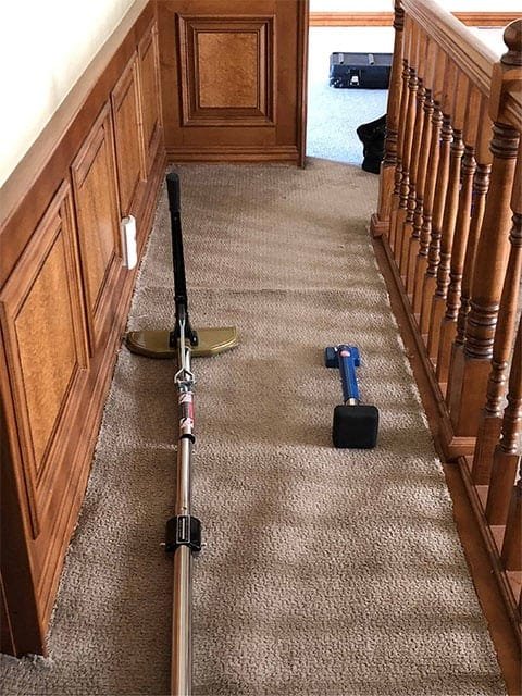 Area Rug Cleaning Experts