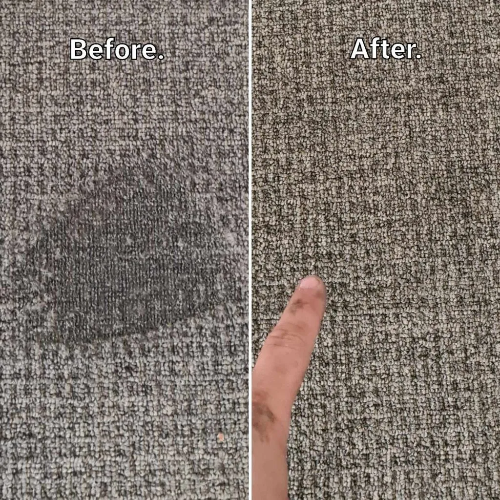 Residential Carpet Cleaning – Fresh Clean Healthy Homes