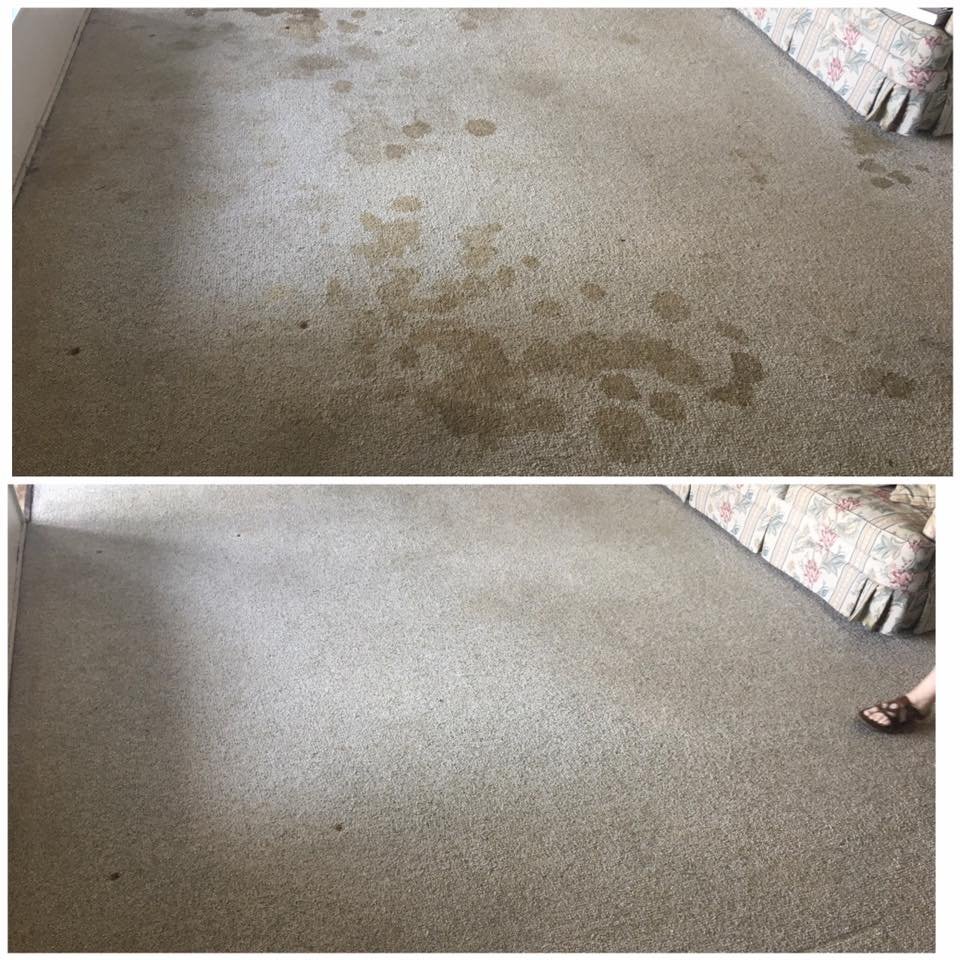Trusted Carpet Cleaning Water Restoration in Fountain CO