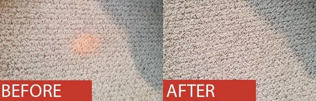 carpet cleaning Before After