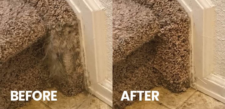trir carpet repair Before After